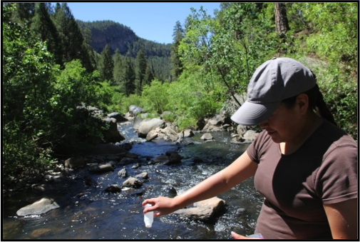 Water Quality Test