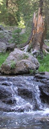 Photo of Waterfall